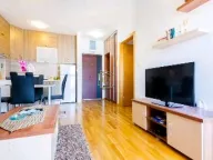 Izdavanje, jednosoban stan, 45m², Stari Aerodrom, Podgorica - image 2