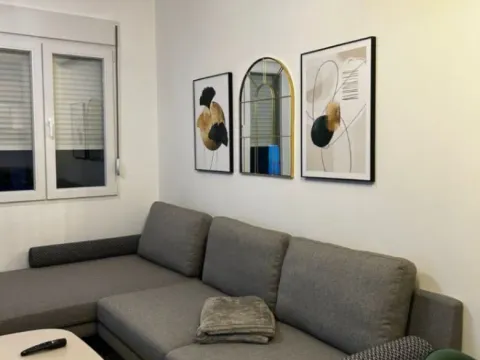 Izdavanje, jednosoban stan, 45m², Zabjelo, Podgorica - image 4