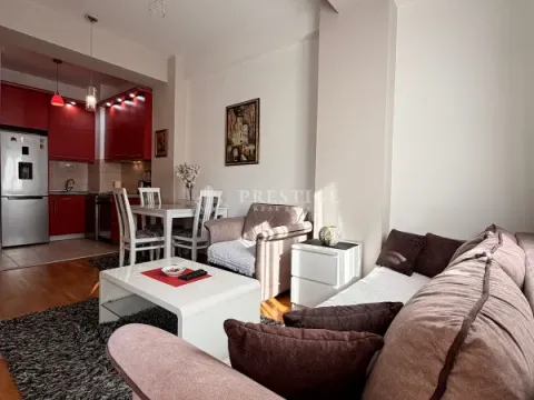Rent, one bedroom apartment, 42m², Ljubović, Podgorica - image 4