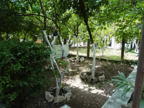 Sale, house, 78m², Donji Orahovac, Kotor - image 11