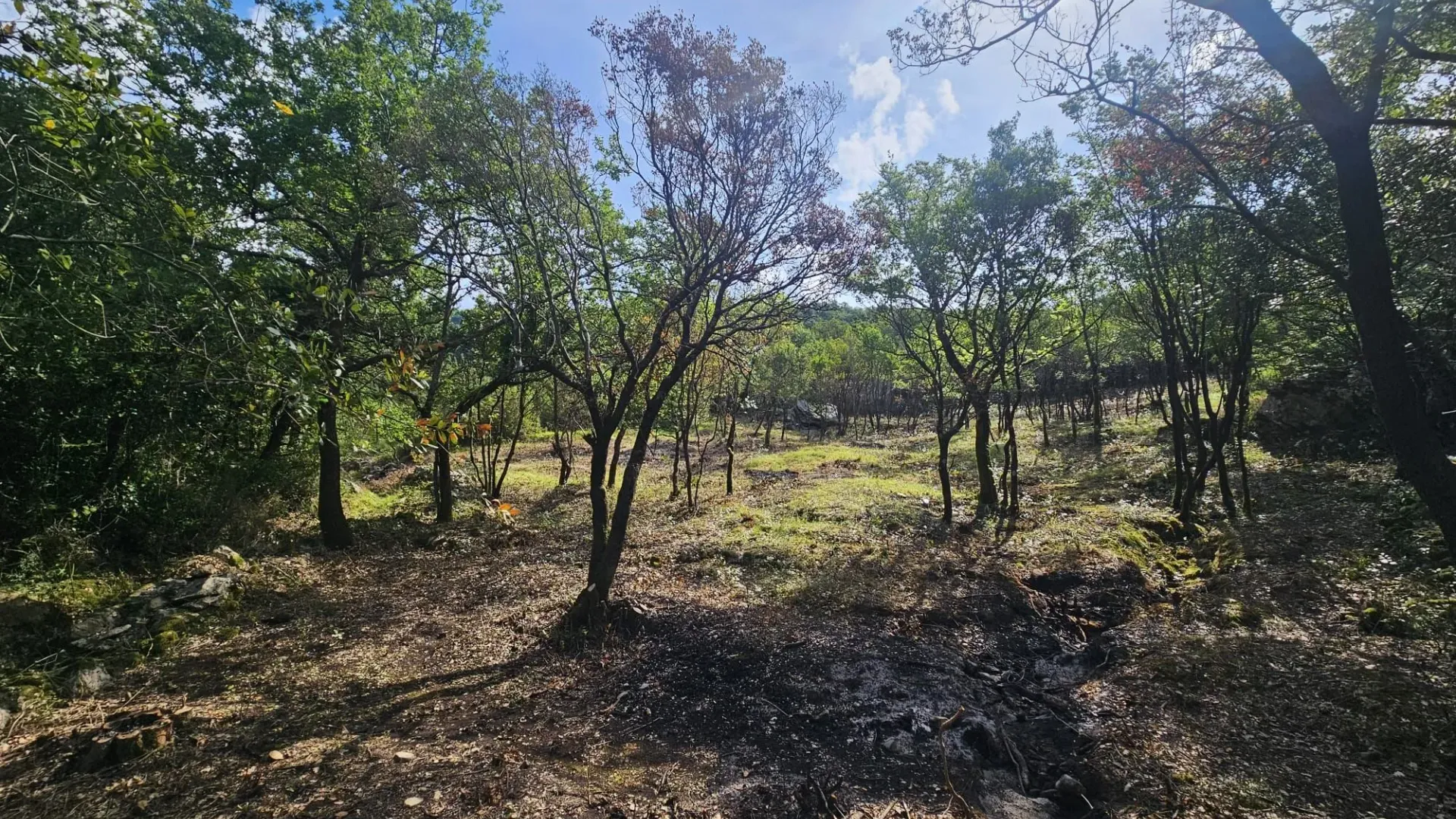 Prodaja, plac, 500m², Mojdež, Herceg Novi