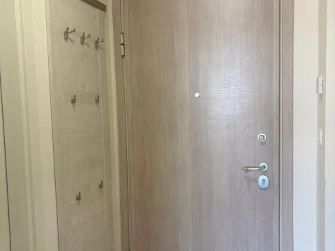 Izdavanje, jednosoban stan, 50m², Central Point, Podgorica - image 13