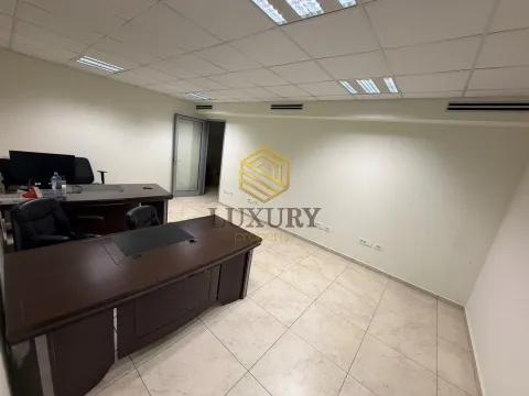 Rent, office space, 189m², Stari Aerodrom, Podgorica - image 8