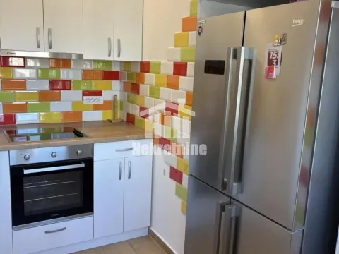 Izdavanje, dvosoban stan, 59m², Botanička Bašta, Palilula Sve Podlokacije - image 6