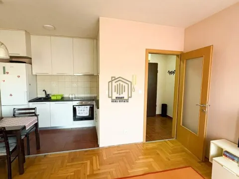 Rent, one bedroom apartment, 43m², Zabjelo, Podgorica - image 2