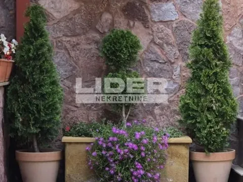 Prodaja, kuća, 830m², Senjak, Beograd - image 20