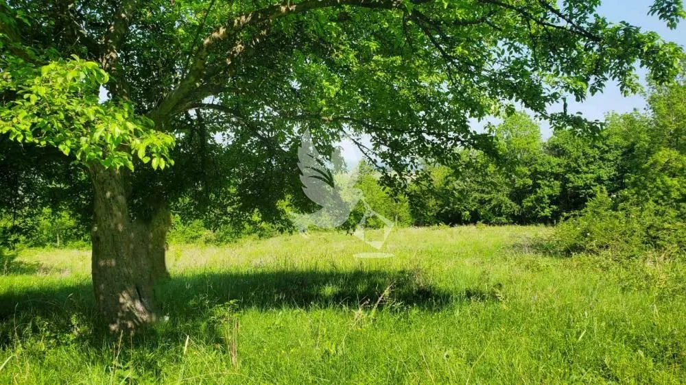 Prodaja, plac, 23000m², Mladenovac, Beograd