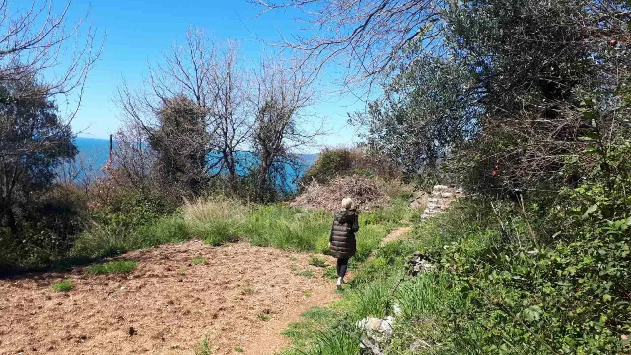 Sale, land lot, 310m², Budva, Crna Gora