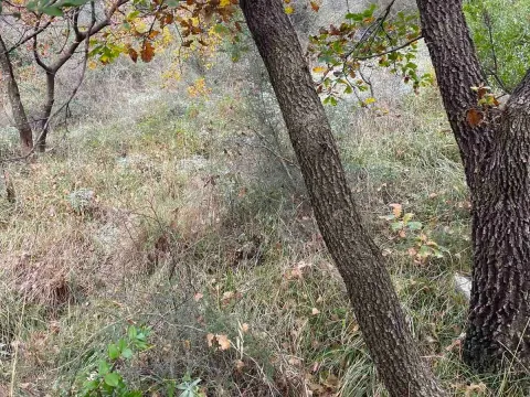 Prodaja, plac, 1282m², Herceg Novi, Crna Gora - image 3