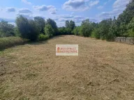 Prodaja, kuća, 115m², Kosmaj, Sopot - image 2