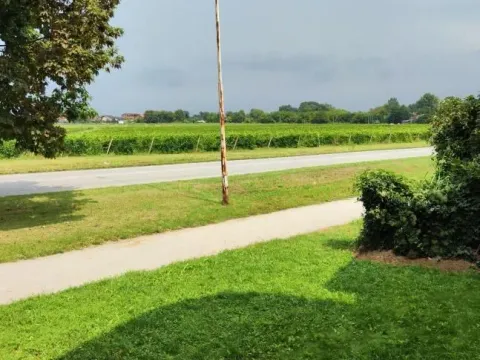 Izdavanje, ugostiteljski objekat, 1000m², Strelište, Jagodina - image 34