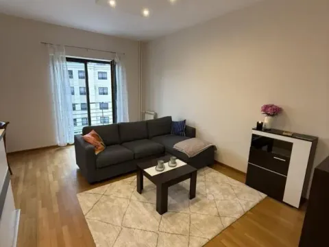Rent, one bedroom apartment, 56m², Vračar Sve Podlokacije, Beograd - image 3