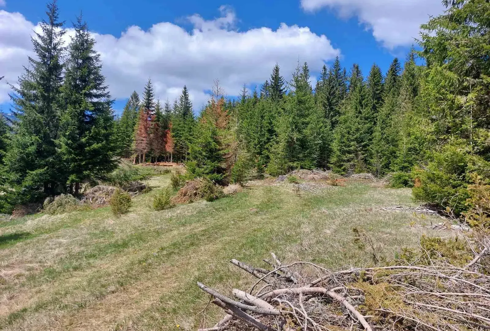 Prodaja, plac, 17505m², Žabljak, Crna Gora