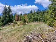 Sale, land lot, 17505m², Žabljak, Crna Gora - image 4