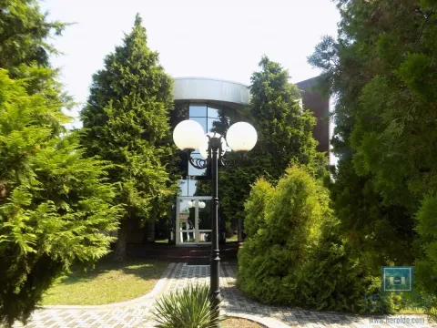 Izdavanje, poslovni prostor, 270m², 7. juli, Paraćin - image 15