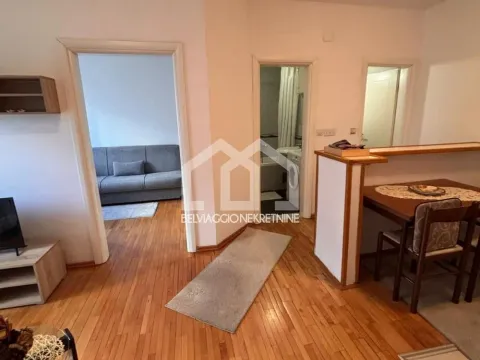 Izdavanje, dvosoban stan, 45m², Vračar Hram, Vračar Sve Podlokacije - image 3