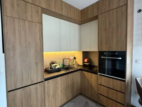 Izdavanje, jednosoban stan, 47m², Zagorič, Podgorica - image 6