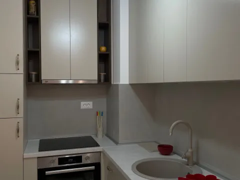 Izdavanje, jednosoban stan, 47m², Stari Aerodrom, Podgorica - image 3