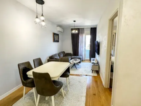 Izdavanje, jednosoban stan, 40m², Central Point, Podgorica - image 11