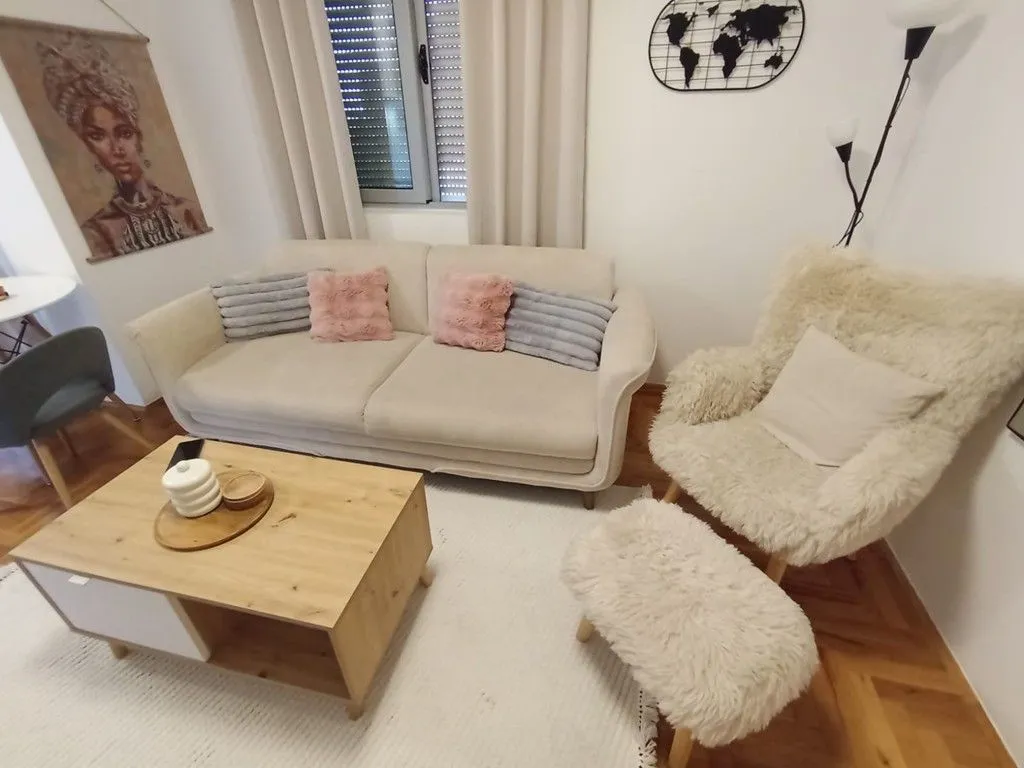 Rent, one bedroom apartment, 47m², Vezirov Most, Podgorica