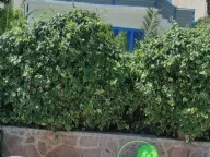 Prodaja, kuća, 387m², Đuraševići, Tivat - image 12