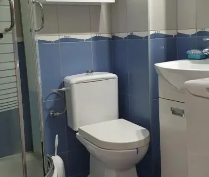 Izdavanje, jednosoban stan, 42m², Vračar Sve Podlokacije, Beograd - image 12