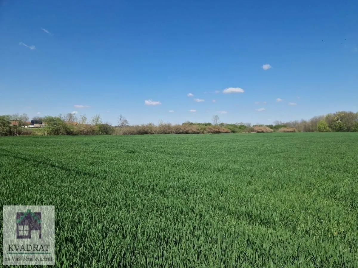 Prodaja, plac, 4300m², Piroman, Obrenovac