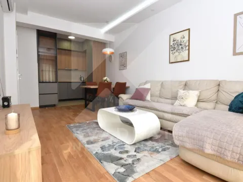 Rent, one bedroom apartment, 47m², Zabjelo, Podgorica - image 1