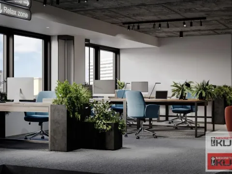 Izdavanje, poslovni prostor, 279m², Bulevar Oslobodjenja, Novi Sad Sve Podlokacije - image 13