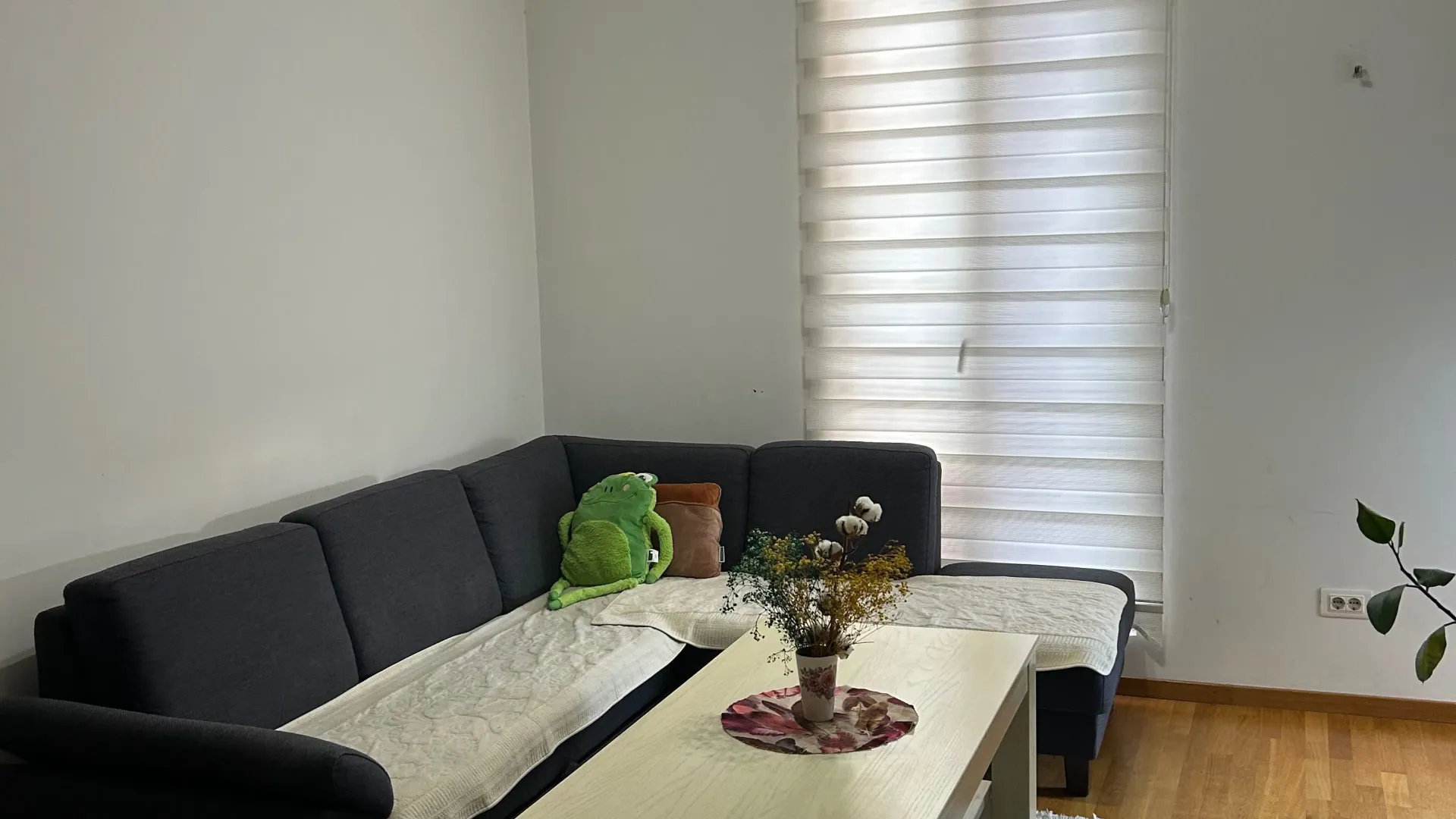 Rent, one bedroom apartment, 48m², Stari Aerodrom, Podgorica