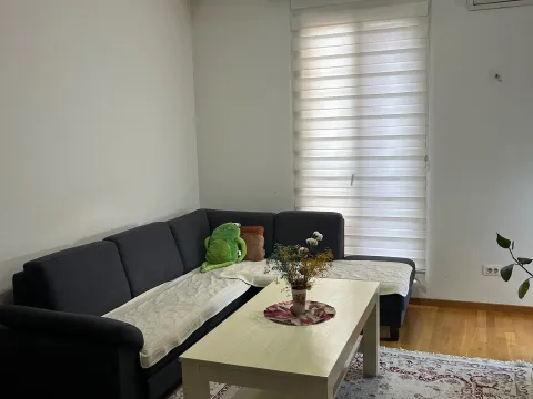 Rent, one bedroom apartment, 48m², Stari Aerodrom, Podgorica - image 2