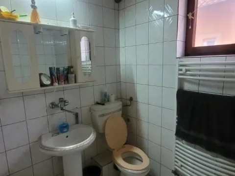 Sale, house, 179m², Adice, Novi Sad Sve Podlokacije - image 15