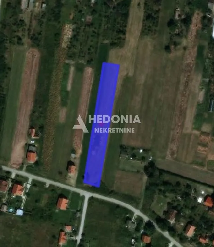 Prodaja, plac, 4000m², Petrovčić, Surčin