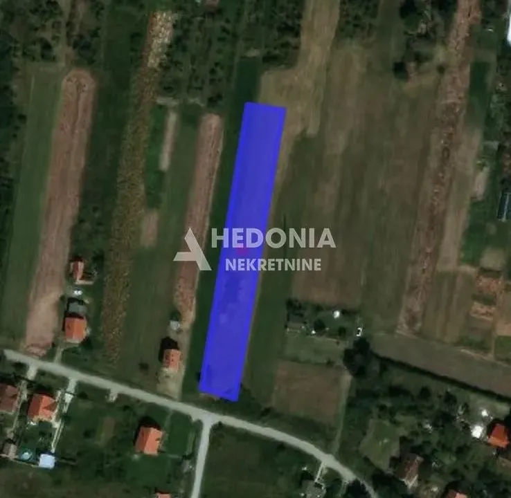 Prodaja, plac, 4000m², Petrovčić, Surčin
