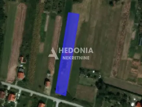 Prodaja, plac, 4000m², Petrovčić, Surčin - image 2