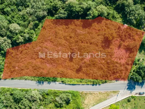 Prodaja, plac, 5652m², Dub, Kotor - image 4