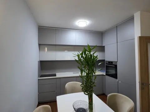 Rent, one bedroom apartment, 53m², Master Kvart, Podgorica - image 2