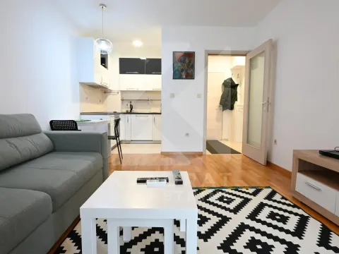 Rent, one bedroom apartment, 43m², Stari Aerodrom, Podgorica - image 2