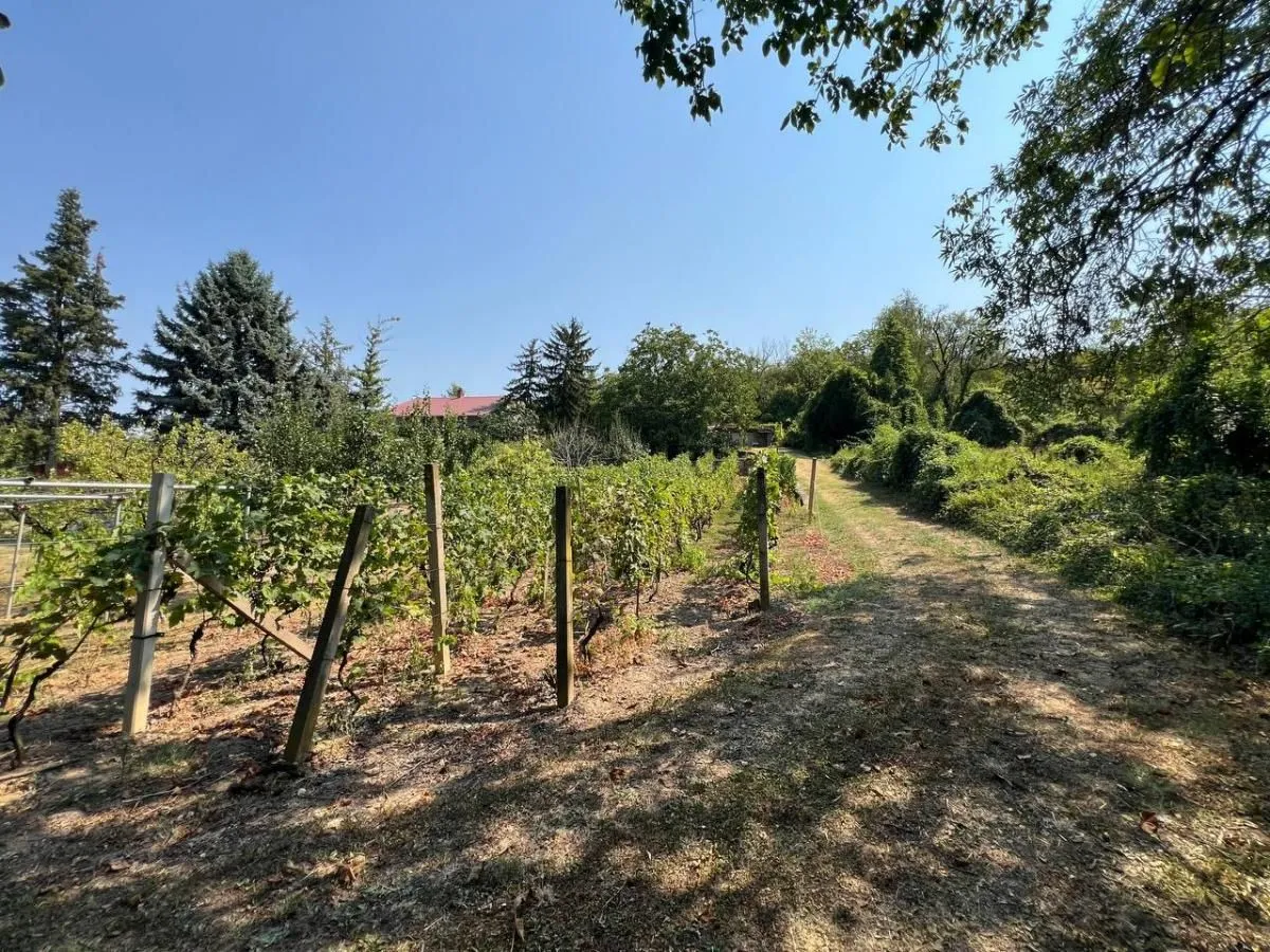Prodaja, kuća, 99m², Petrovaradin, Novi Sad