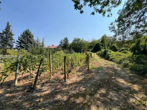 Prodaja, kuća, 99m², Petrovaradin, Novi Sad - image 8