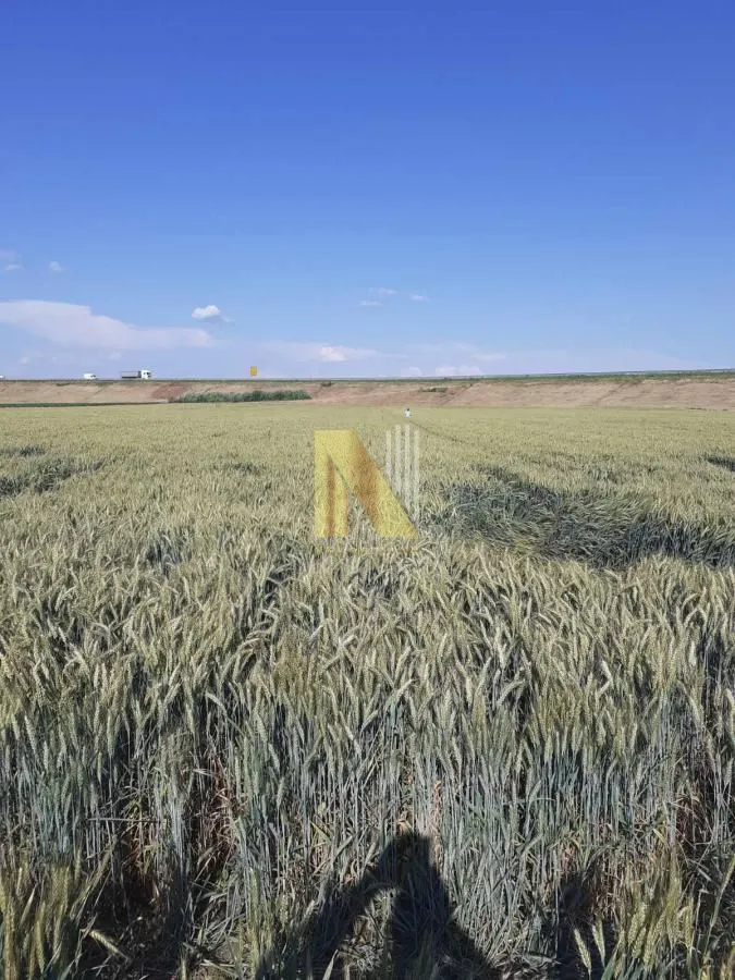 Sale, land lot, 155m², Ruma, Srbija