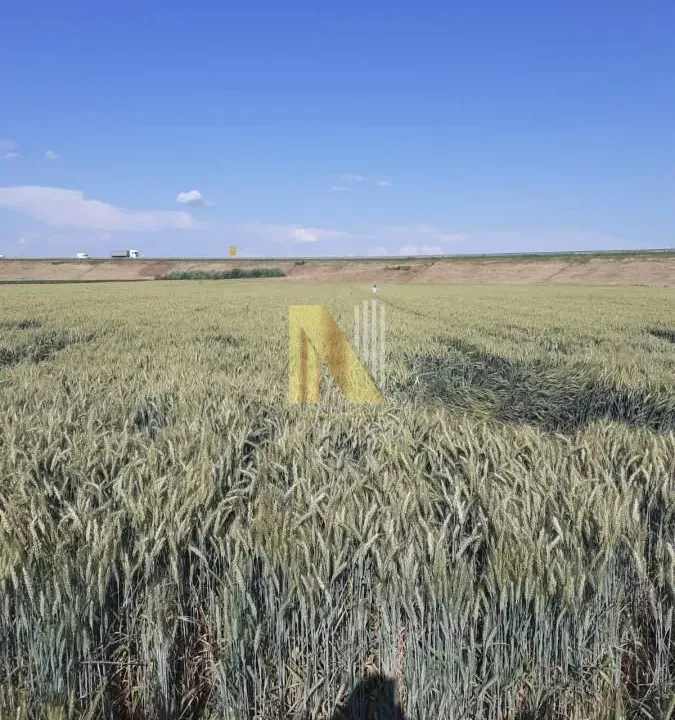 Sale, land lot, 155m², Ruma, Srbija