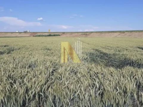 Prodaja, plac, 155m², Ruma, Srbija