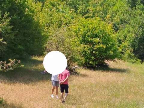 Prodaja, plac, 20000m², Donji Zagarač, Danilovgrad - image 3