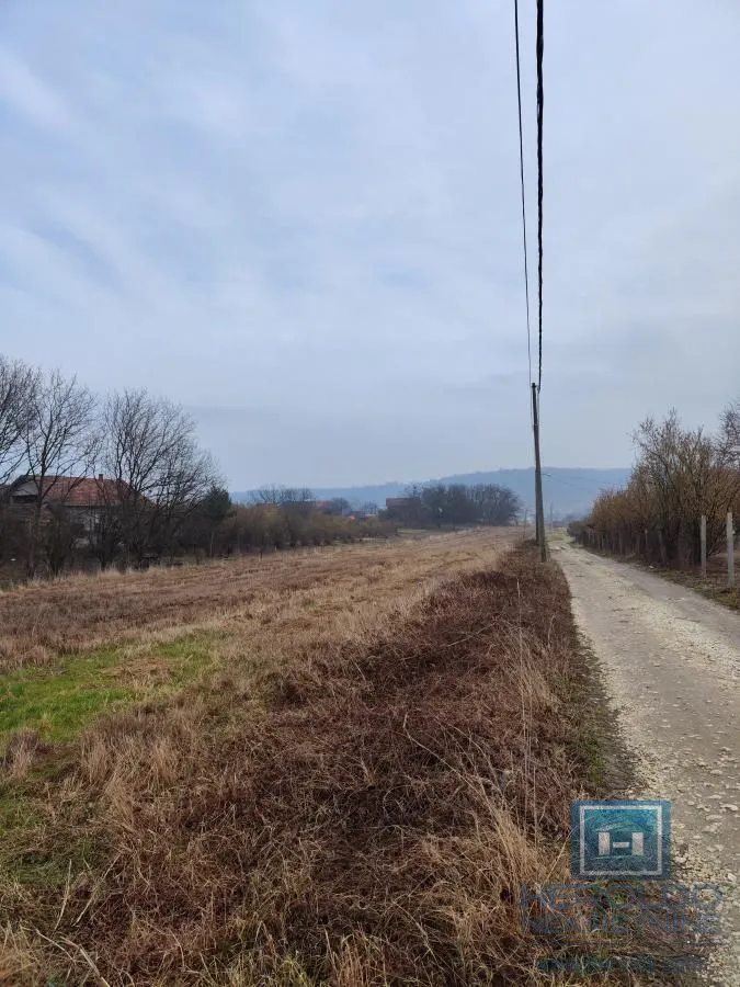 Prodaja, plac, 499m², Trnava, Jagodina