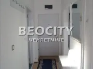 Izdavanje, stan, 40m², Dorćol Sve Podlokacije, Beograd - image 9