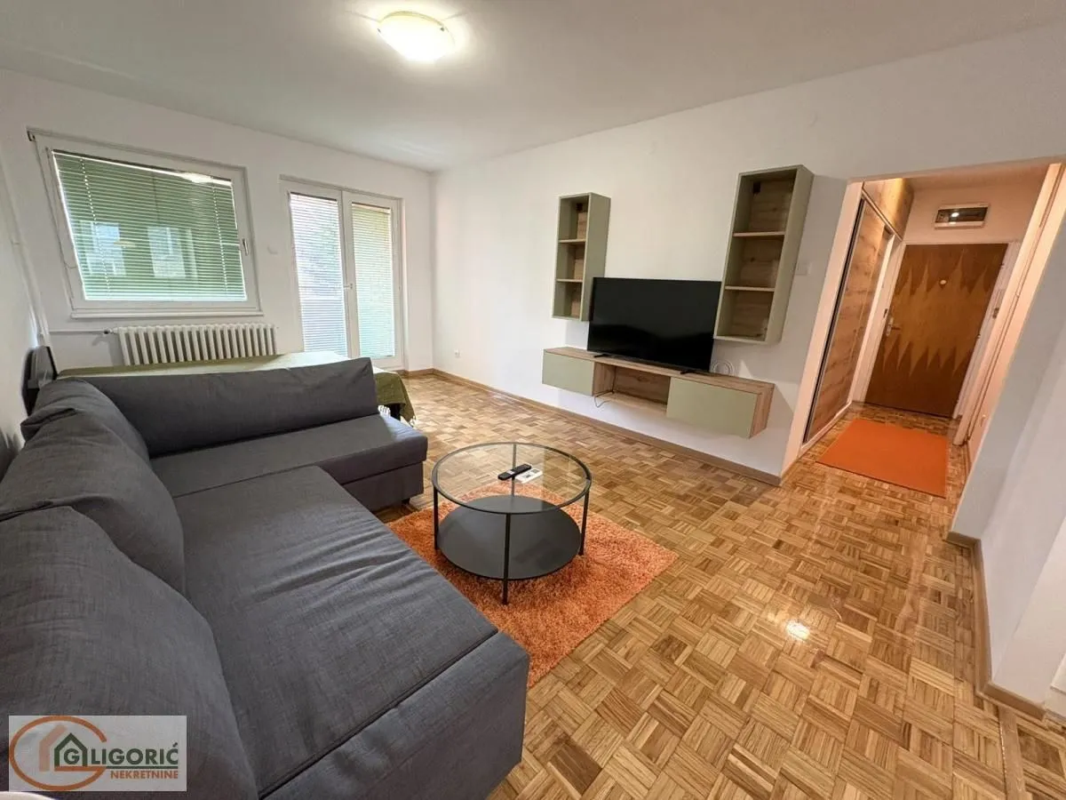 Rent, one bedroom apartment, 45m², Lion, Zvezdara Sve Podlokacije