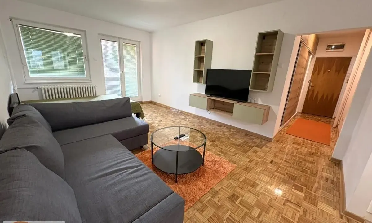 Izdavanje, jednosoban stan, 45m², Lion, Zvezdara Sve Podlokacije