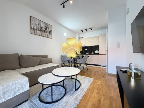 Izdavanje, jednosoban stan, 45m², Zagorič, Podgorica - image 2
