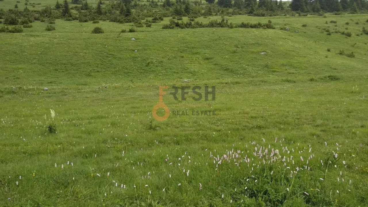 Prodaja, plac, 1600m², Žabljak, Crna Gora
